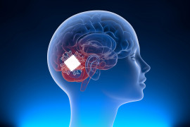 Thumbnail for 6991734