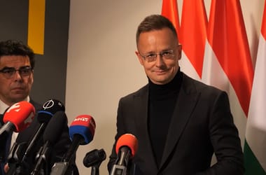 Thumbnail for 6991838