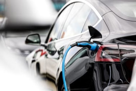 Thumbnail for 6991870