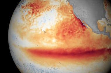 Thumbnail for 6991993