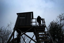 Thumbnail for 6992190