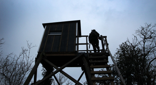 Thumbnail for 6992190