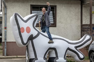 Thumbnail for 6992403