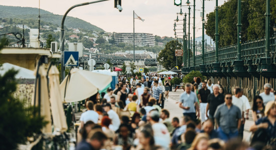 Thumbnail for 6992588