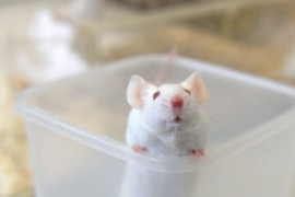 Thumbnail for 6993159