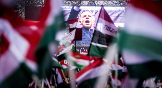 Thumbnail for 6993309