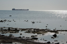 Thumbnail for 6993410