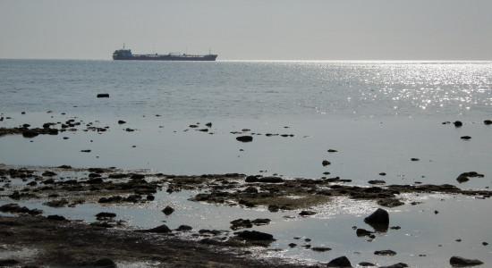 Thumbnail for 6993410