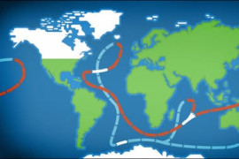 Thumbnail for 6993463