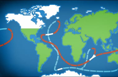 Thumbnail for 6993463