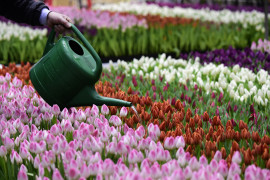 Thumbnail for 6993741