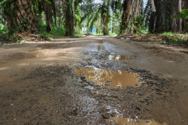 Thumbnail for 6993794