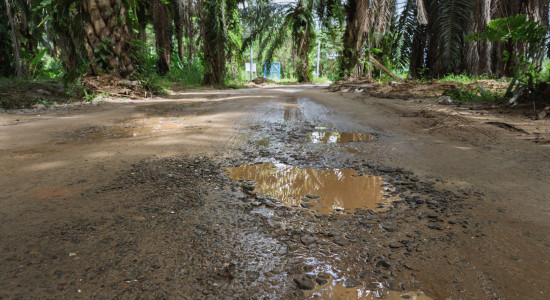 Thumbnail for 6993794