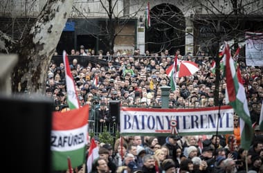 Thumbnail for 6993826