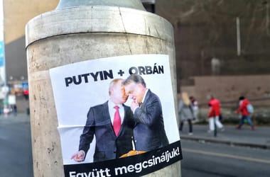 Thumbnail for 6993983