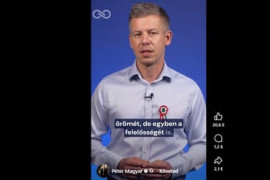 Thumbnail for 6994498