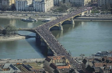 Thumbnail for 6994738