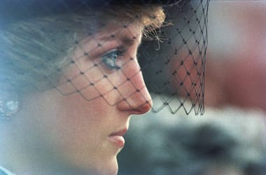 Thumbnail for 6994839