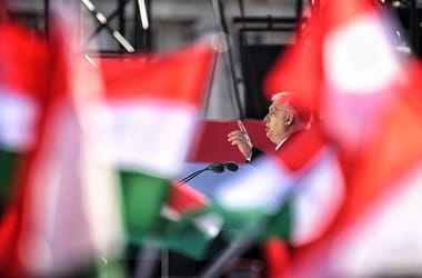 Thumbnail for 6994980