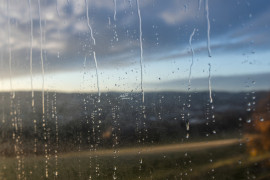 Thumbnail for 6995032