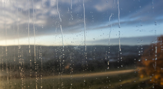 Thumbnail for 6995032