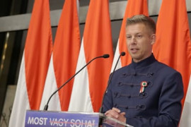 Thumbnail for 6995519