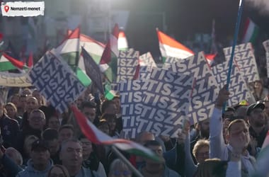 Thumbnail for 6995631