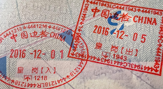 Thumbnail for 6995829