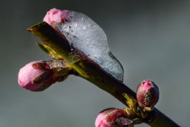 Thumbnail for 6995960