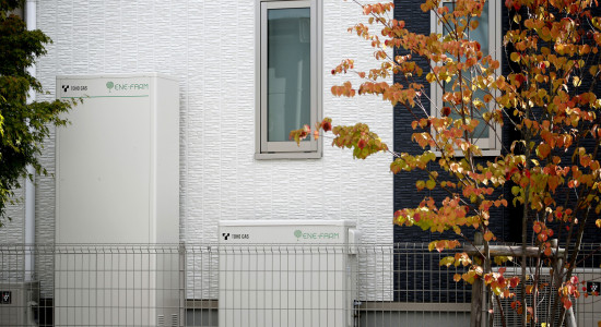 Thumbnail for 6996069