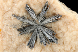 Thumbnail for 6996100