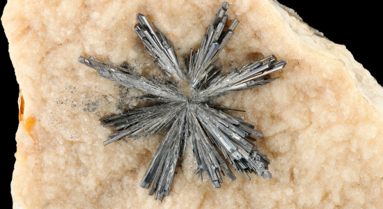 Thumbnail for 6996100