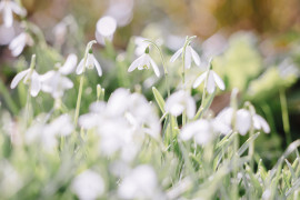 Thumbnail for 6996182