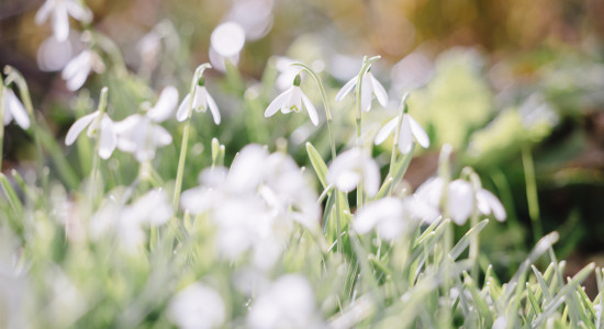 Thumbnail for 6996182