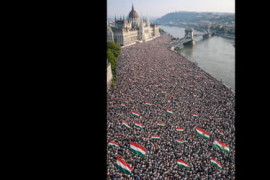 Thumbnail for 6996208