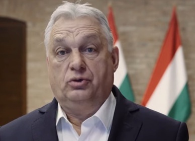 Thumbnail for 6996445