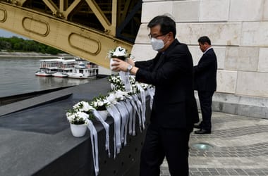 Thumbnail for 6996464