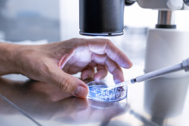 Thumbnail for 6996759