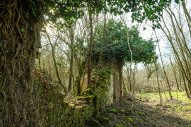 Thumbnail for 6996878