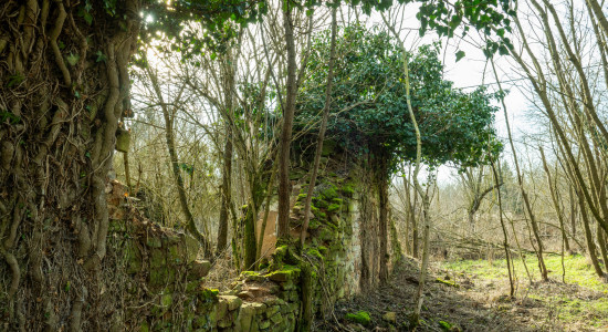 Thumbnail for 6996878