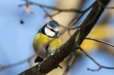 Thumbnail for 6997124