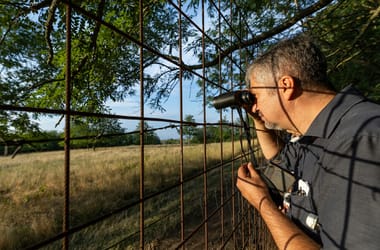 Thumbnail for 6997260