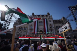 Thumbnail for 6997616