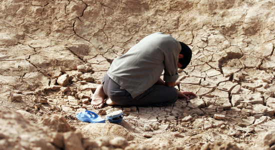 Thumbnail for 6997719