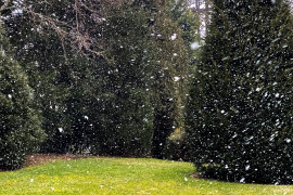 Thumbnail for 6997940