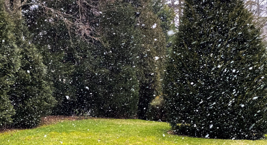 Thumbnail for 6997940