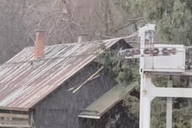 Thumbnail for 6998031