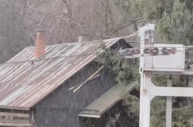 Thumbnail for 6998031