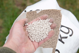 Thumbnail for 6998409