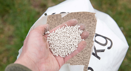 Thumbnail for 6998409